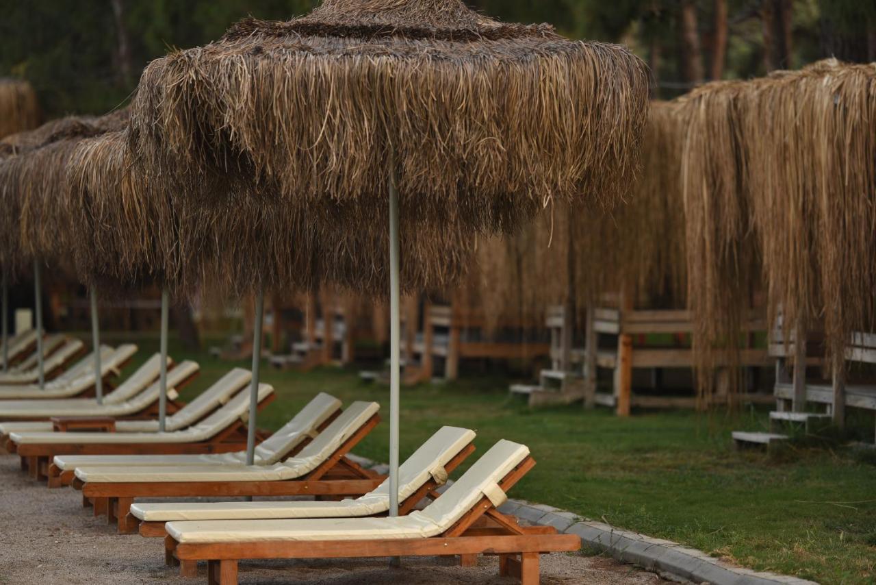 Green Pine Bungalows & Beach Luxury Concept Олюденіз Екстер'єр фото