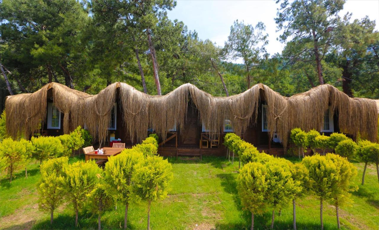 Green Pine Bungalows & Beach Luxury Concept Олюденіз Екстер'єр фото