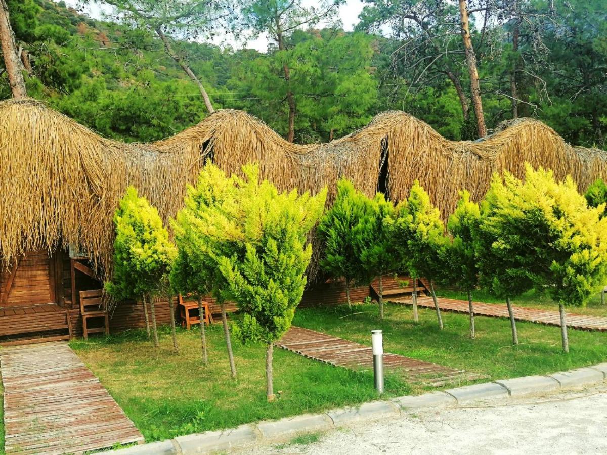 Green Pine Bungalows & Beach Luxury Concept Олюденіз Екстер'єр фото