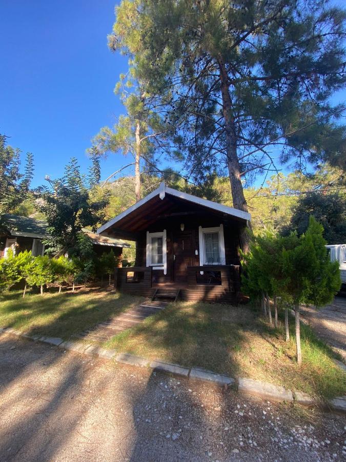 Green Pine Bungalows & Beach Luxury Concept Олюденіз Екстер'єр фото